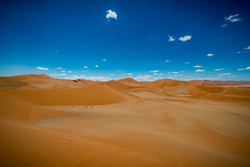 Wydmy pustyni Namib