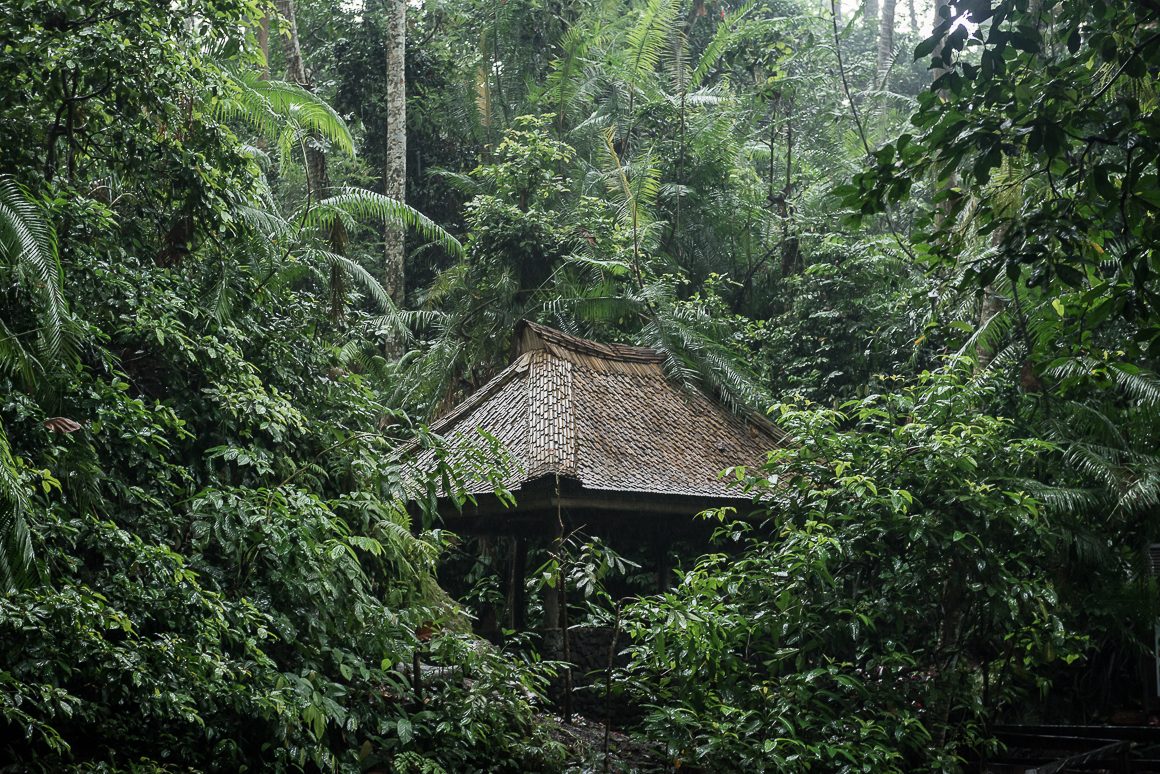 Monkey Forest, Ubud.