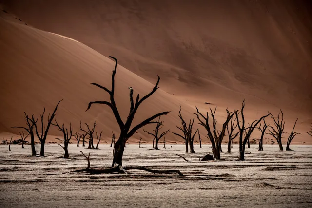 Krajobraz Namibii — fotografia Outway