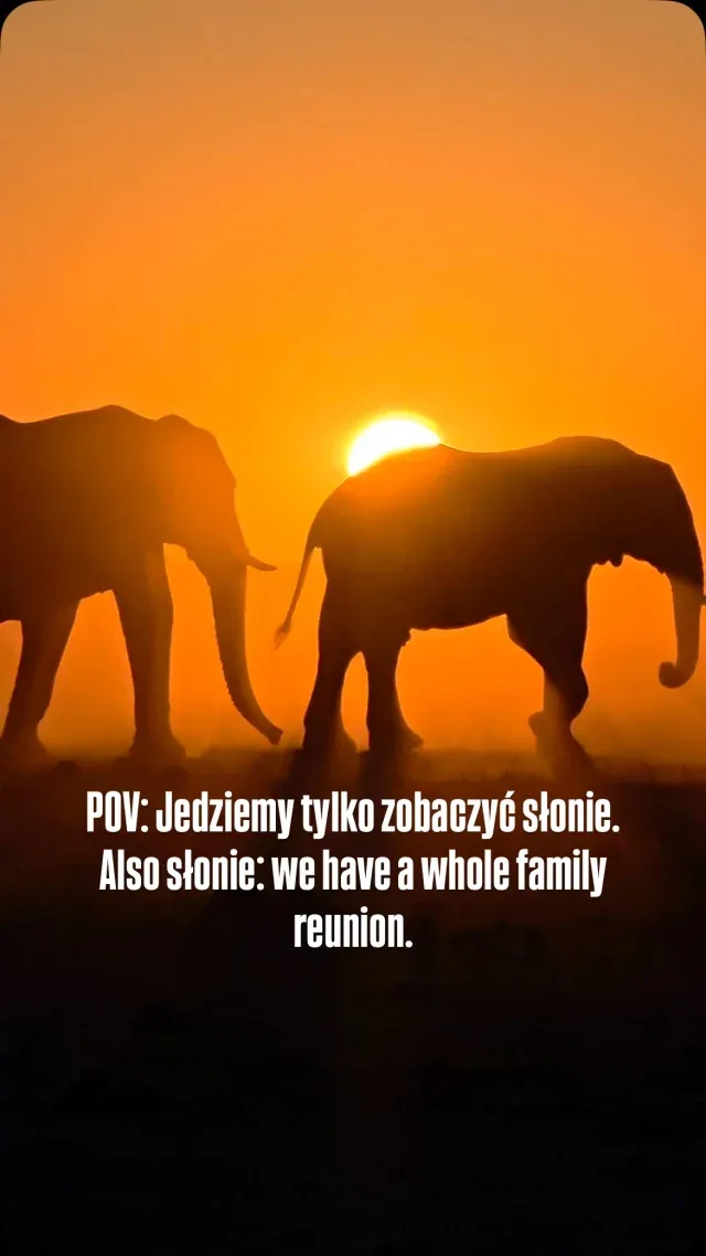 Z afrykańskiej drogi
