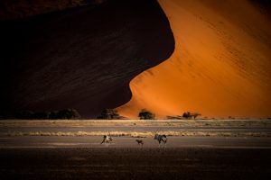 Wyprawa Namibia Classic – Wersja Premium