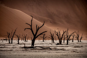 Wyprawa Namibia Classic