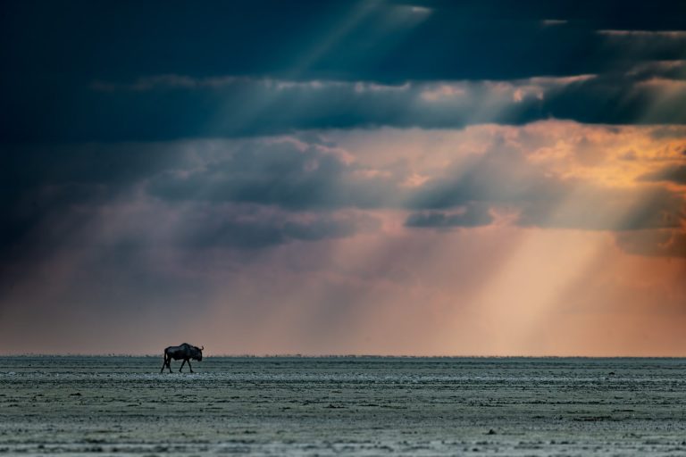 Outway Adventures - Wyprawa Namibia