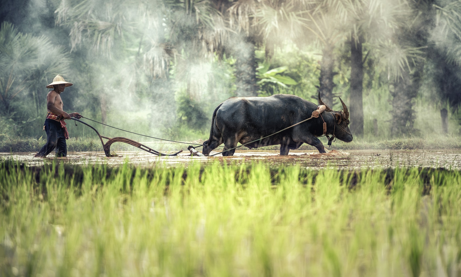 Outway Adventures - Laos – Klejnot Mekongu Outway Adventures - Laos – Klejnot Mekongu