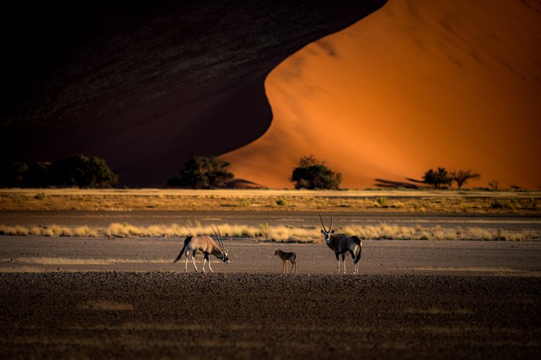 Outway Adventures - Namibia Family – rodzinna przygoda w sercu Afryki