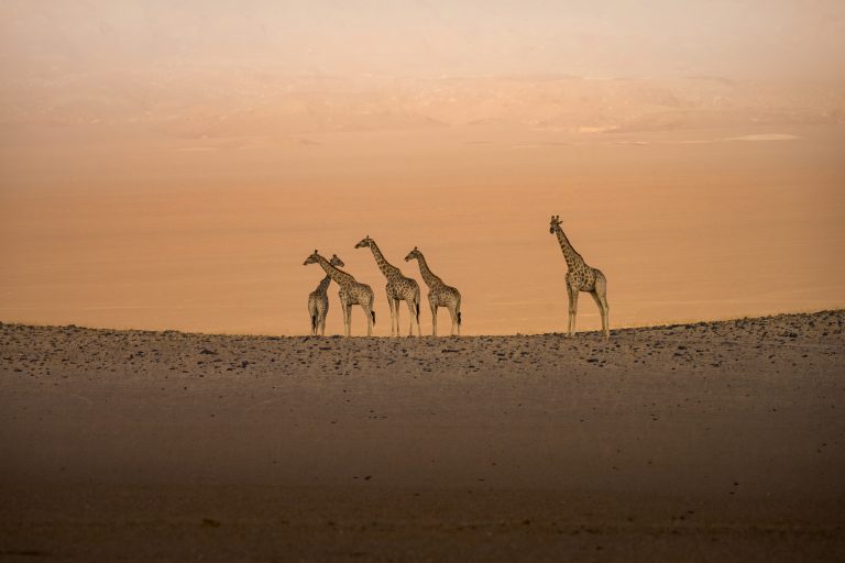 Outway Adventures - Namibia Family – rodzinna przygoda w sercu Afryki