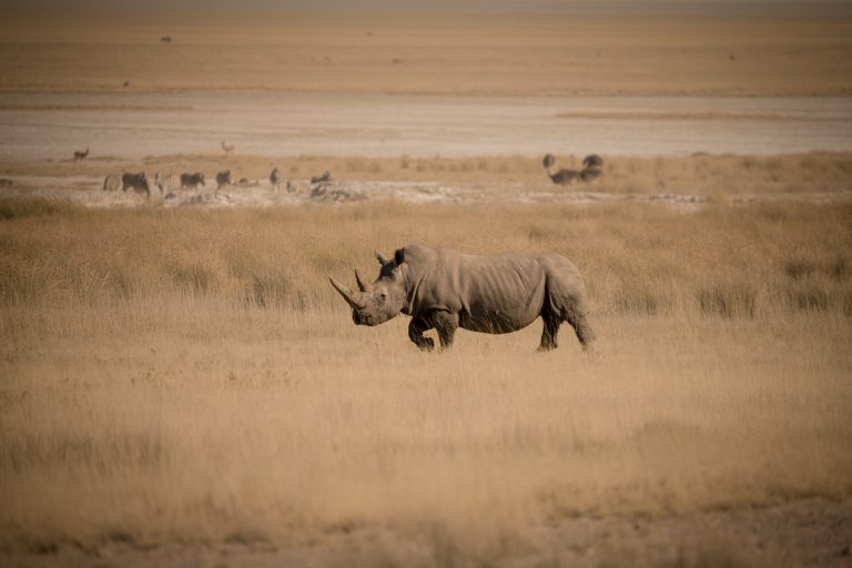 Outway Adventures - Namibia Family – rodzinna przygoda w sercu Afryki
