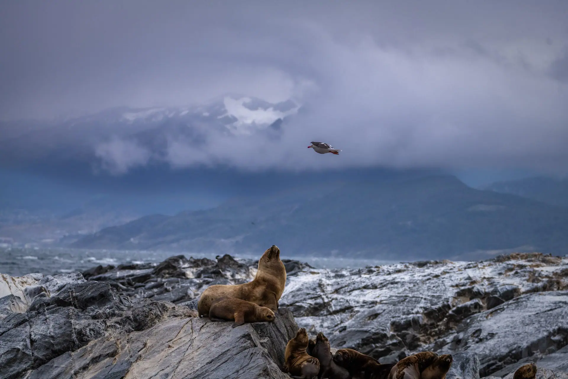Outway Adventures - Patagonia: argentyńsko - chilijska przygoda z Ziemią Ognistą, Urugwajem i Buenos Aires!