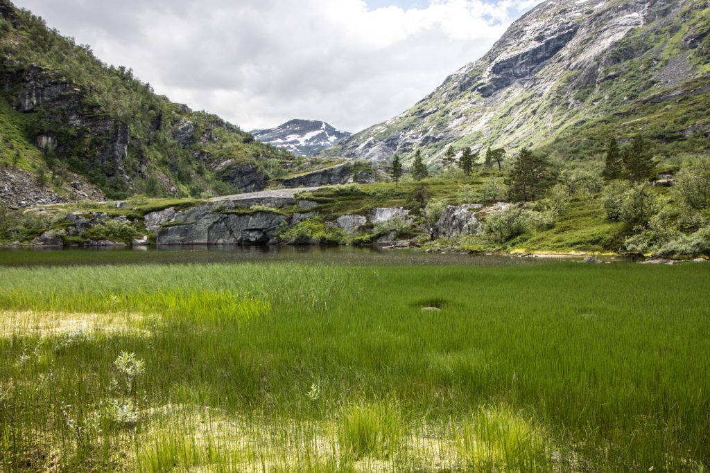 Dolina Storkaldhusdalen