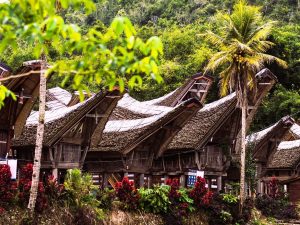 Wyprawa na Sulawesi – zapomniane krainy Indonezji