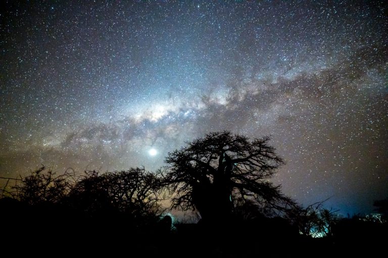 Outway Adventures - Wyprawa Botswana (plus Wodospady Wiktorii) - wersja premium