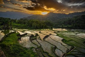 Indonezja Ultimate – Bali, Jawa, Lombok, Gili, Komodo i Flores