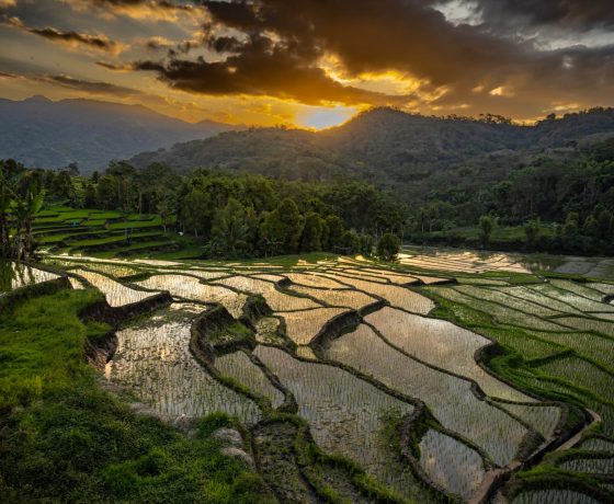 Outway Adventures - Indonezja