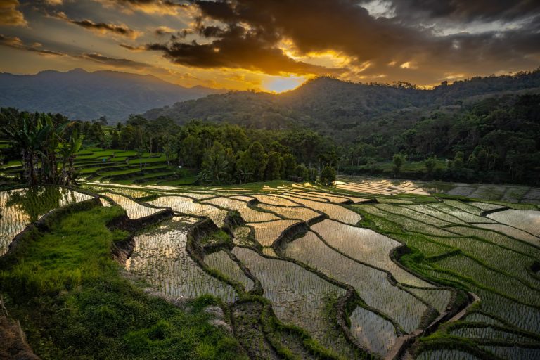 Outway Adventures - Indonezja