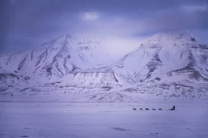 Spitsbergen – Arktyczna wyprawa. Lód, zorze i niedźwiedzie polarne.