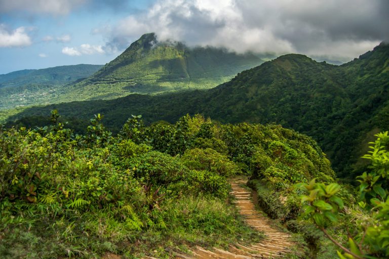 Outway Adventures - Karaiby: Barbados, Dominika i Saint Lucia