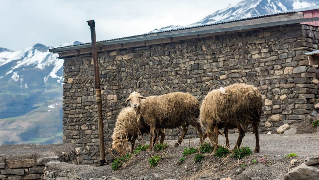 Outway Adventures - Azerbejdżan – Ukryte Klejnoty Kaukazu