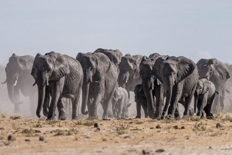 Outway Adventures - Wyprawa Namibia