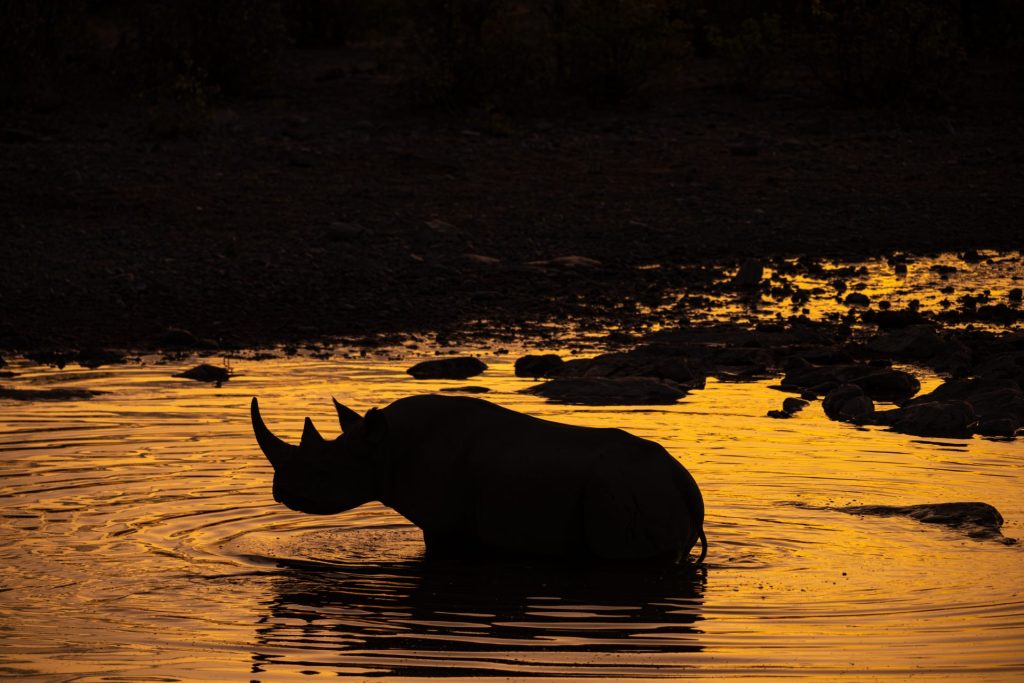 Outway Adventures - Wyprawa Namibia