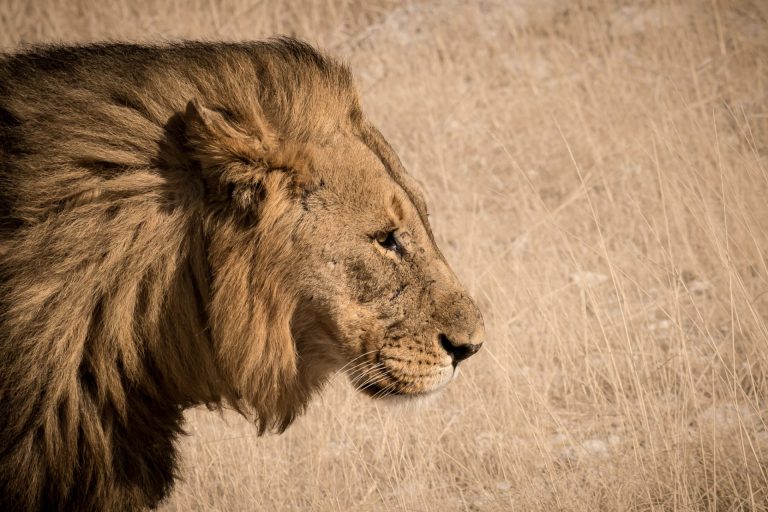 Outway Adventures - Wyprawa Namibia