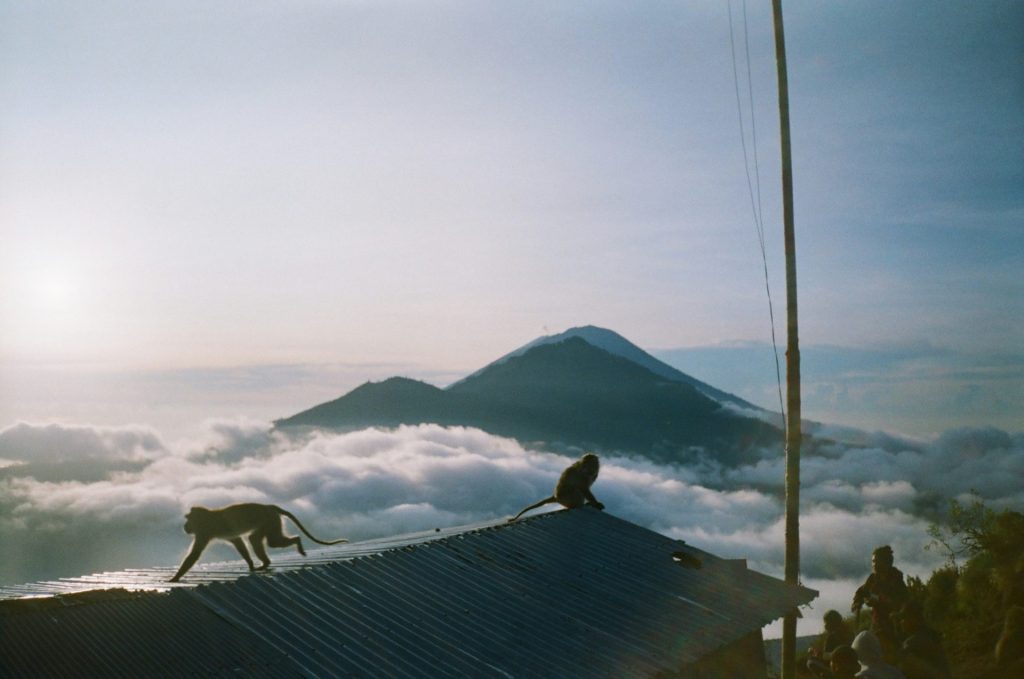 Outway Adventures - Indonezja Family Adventures