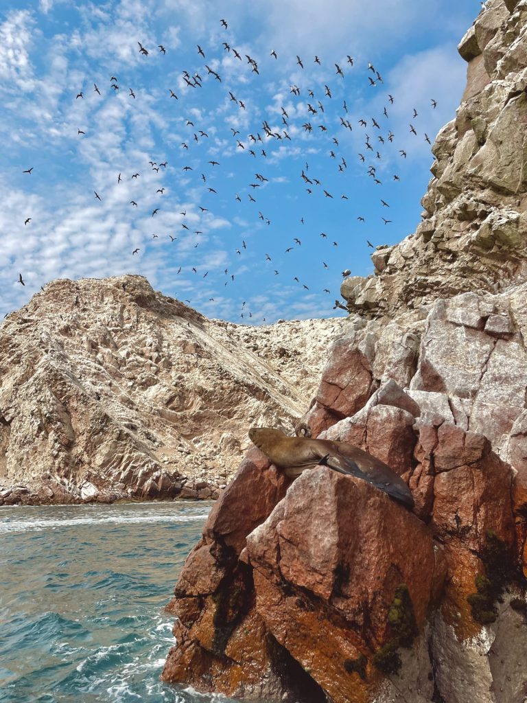 Outway Adventures - Peru – Trekking Inca trail