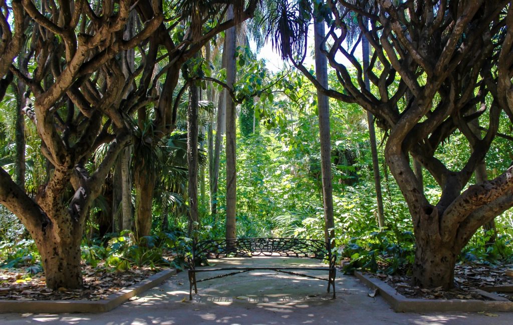 Outway Adventures - Algieria - Rzymskie ruiny, wielkie miasta, góry i Sahara