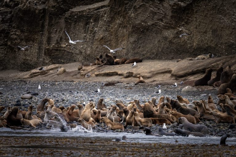 Outway Adventures - Patagonia: argentyńsko - chilijska przygoda z Ziemią Ognistą, Urugwajem i Buenos Aires!