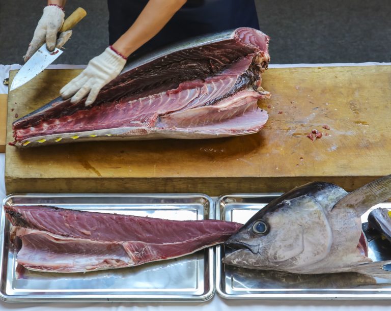 Outway Adventures - Japonia – Kontrast tradycji i nowoczesności: Od Tokio do Okinawy