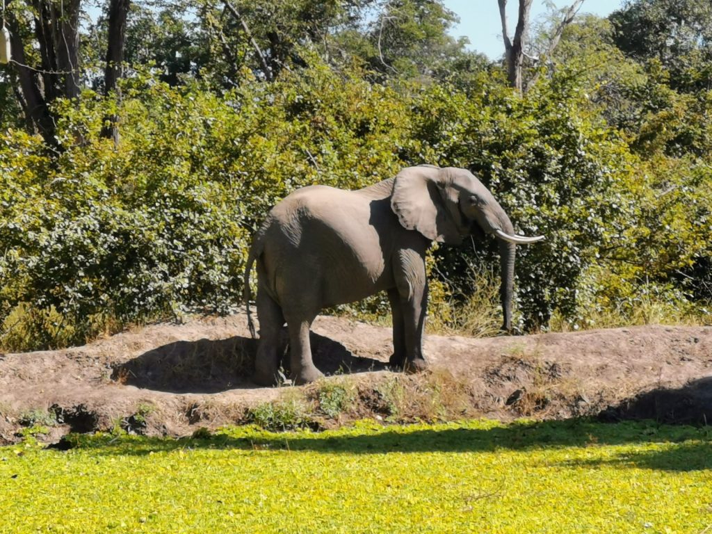 Outway Adventures - Zambia i Malawi – Śladami afrykańskiej przyrody