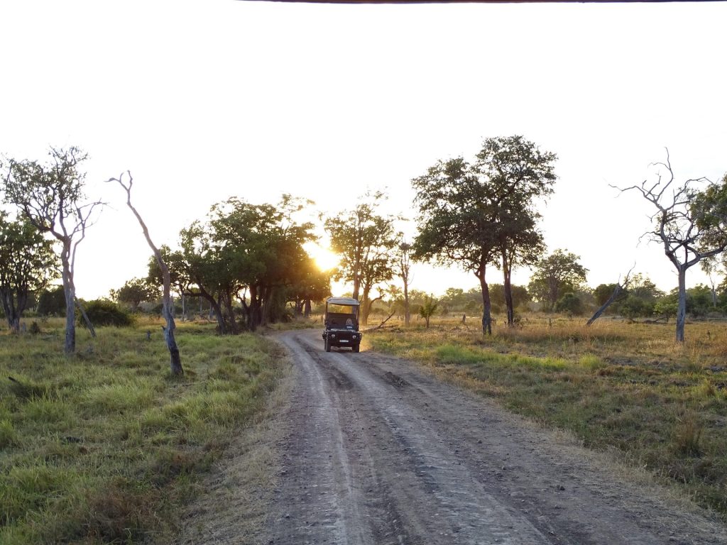 Outway Adventures - Zambia i Malawi – Śladami afrykańskiej przyrody