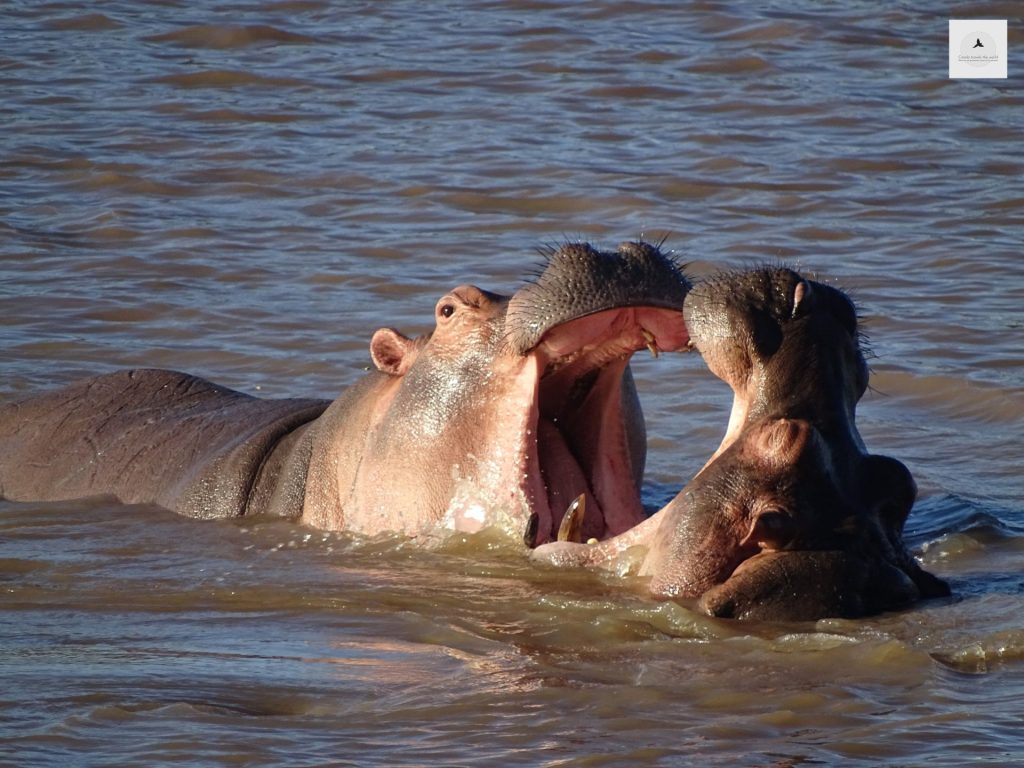 Outway Adventures - Zambia i Malawi – Śladami afrykańskiej przyrody