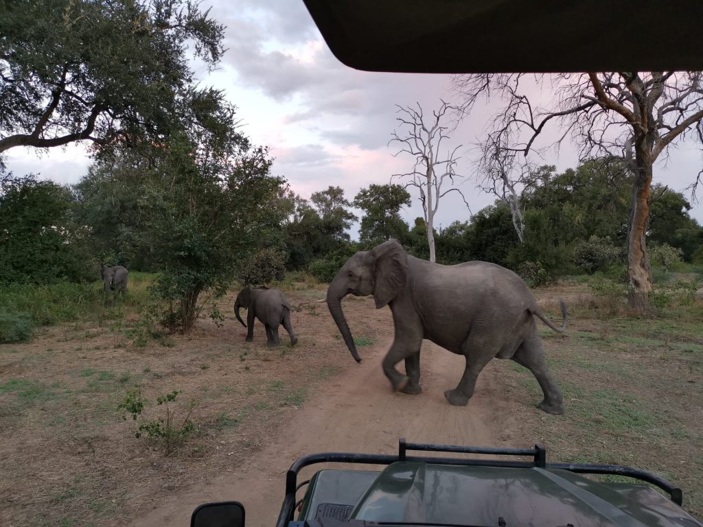 Outway Adventures - Zambia i Malawi – Śladami afrykańskiej przyrody