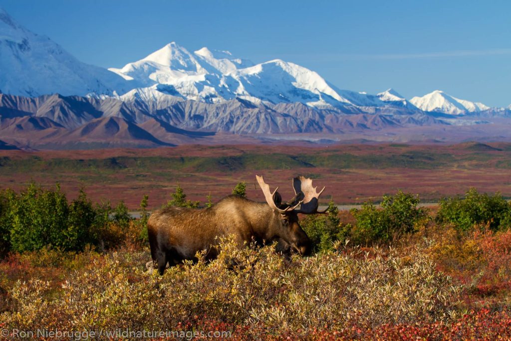 Outway Adventures - Alaska – przygoda na krańcu świata