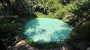 Brazylia – śladem Tony’ego Halika