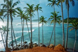 Sri Lanka – w cieniu świątyń, palm i słoni