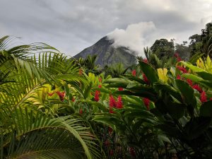 Kostaryka i Panama: Wyprawa do Serca Dzikiej Przyrody w Stylu Pura Vida